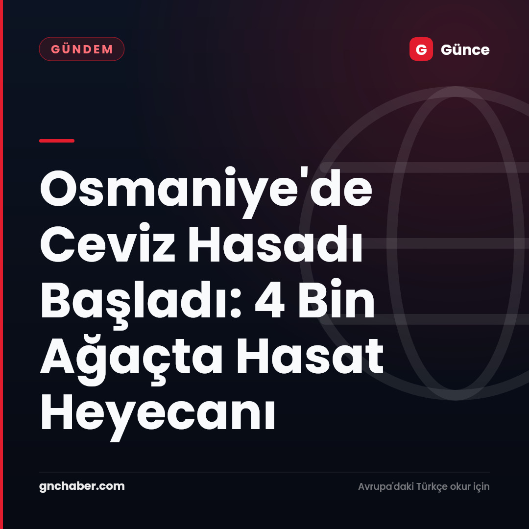 Osmaniye'de Ceviz Hasadı Başladı: 4 Bin Ağaçta Hasat Heyecanı